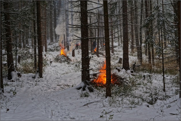 Dobrý sluha