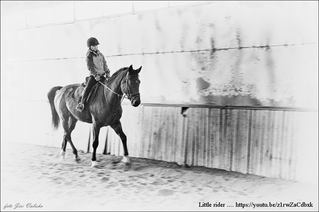 Little rider