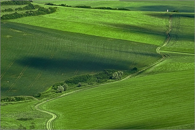 cestička k domovu