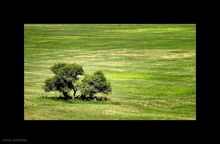 zelená ukľudňuje