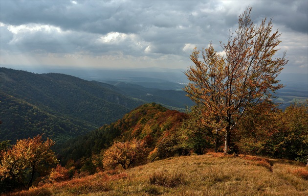 Pod jesenným Rokošom