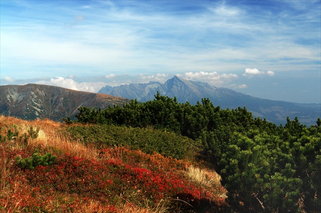 Vysoké Tatry