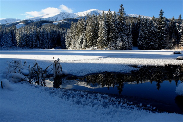 Vrbické pleso