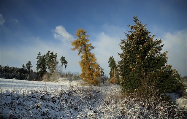 Prvý sneh