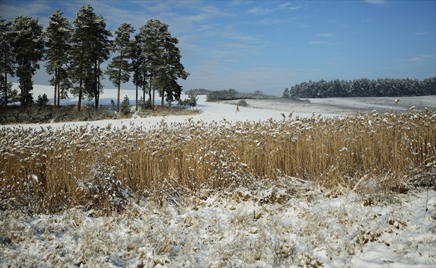 Nasnežilo