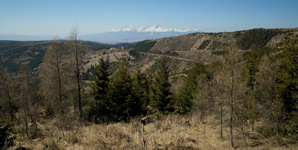 Levočské vrchy