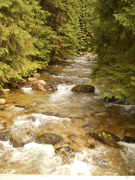 Studený potok, Zuberec