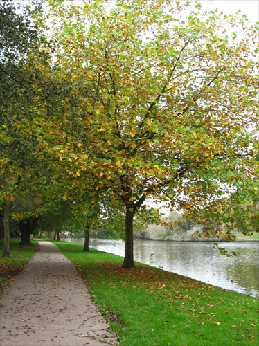 Jeseň v Írsku (Cork)