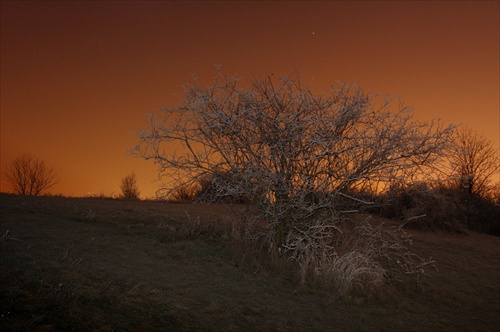 nocna ziara