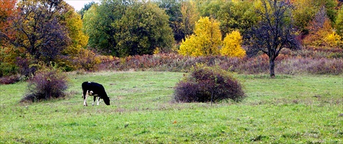 Bez názvu