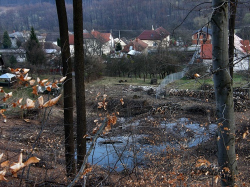 Barbarský výrub lesa Slanec