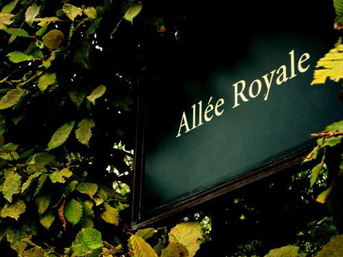 Alée Royale