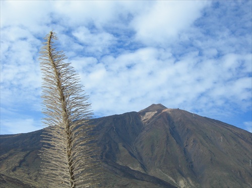 Pico del Teide - Tenerife