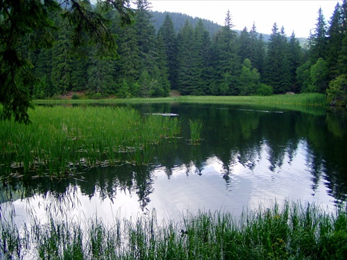 Vrbické pleso