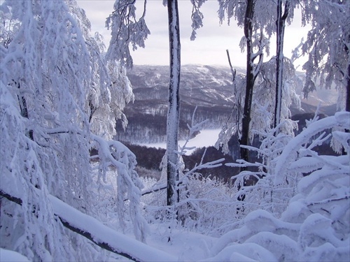 Morské oko