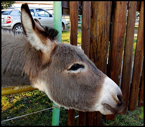 Kto mi niečo dá ?