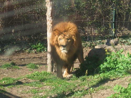 Zoo Budapest