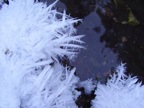 Winter elemental