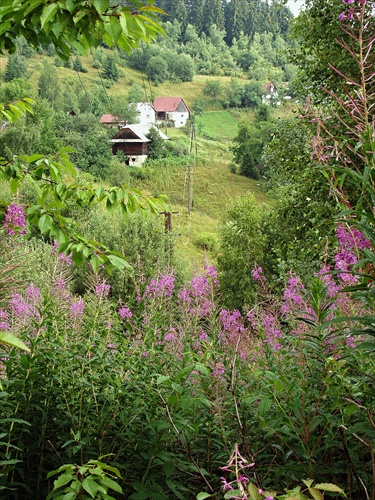 Krásny pohľad na Grapu