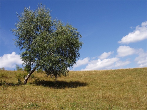 Vrch má naklonený ....