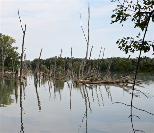 Dunajské ramená