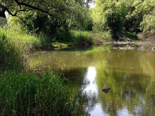 Dunajské jazierko