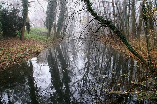 Čarodejná krajina