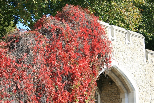 Tower of London