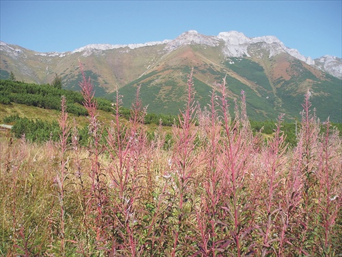 Tatry 5