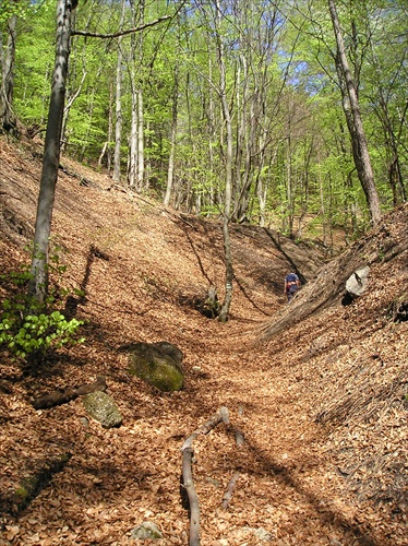 Jar nad Súľovom