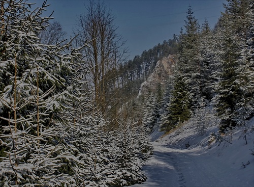 Višňovská dolina