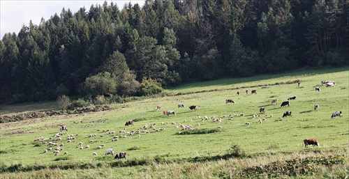 Kysucké pastorále