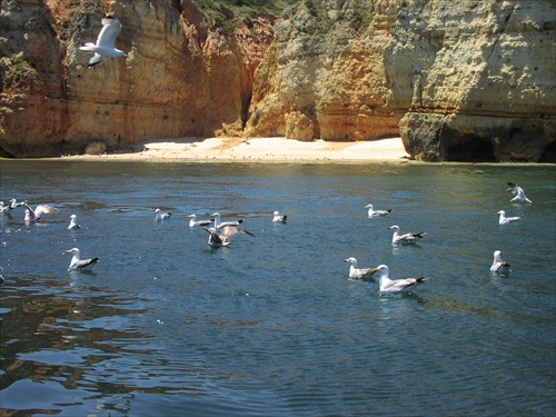 Lagos - Ponta de Piedade