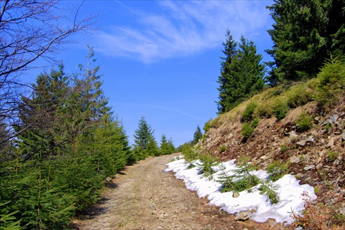 Jar v Kuneradskej doline