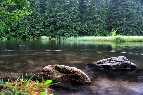 Vrbické pleso