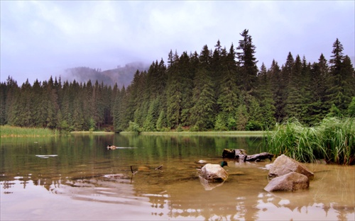 Vrbické pleso