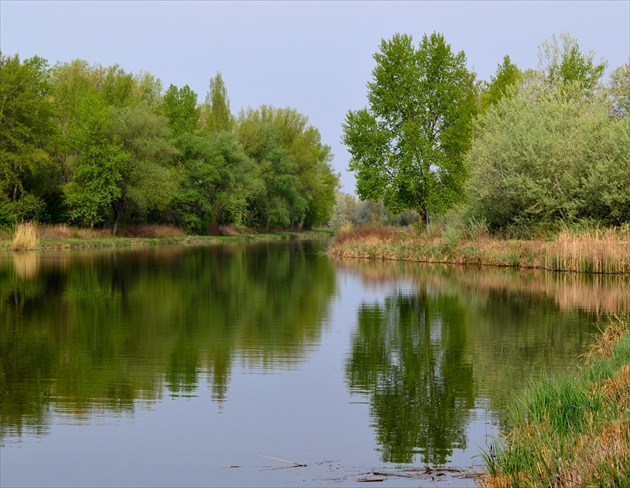 Odtiene zelenej