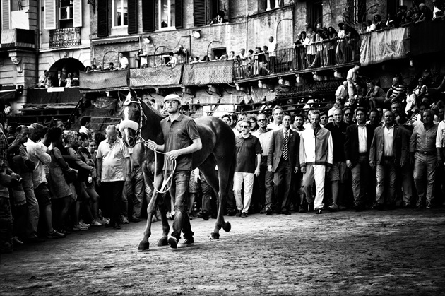 Palio di Siena