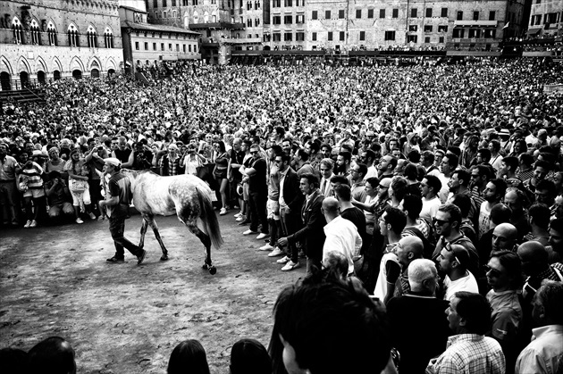 Palio di Siena II