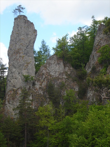 Mojžišov stlp