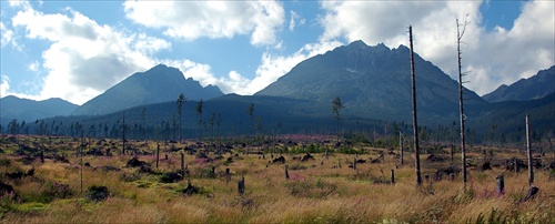 Tatry