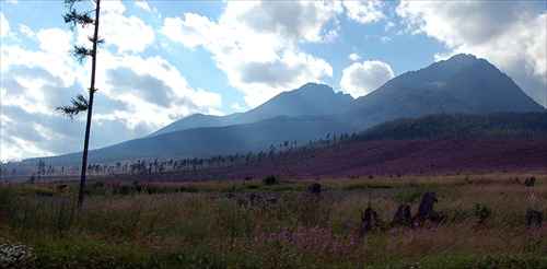 Fialové Tatry