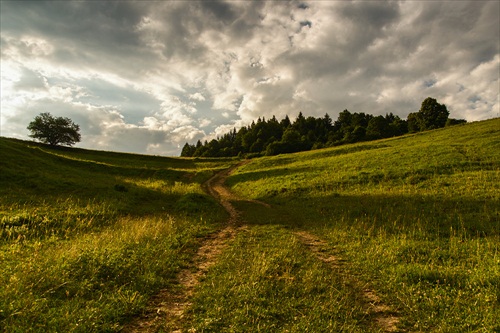 Chodník do kráľovstva lesa