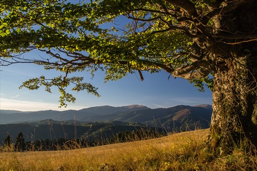 Nízke Tatry