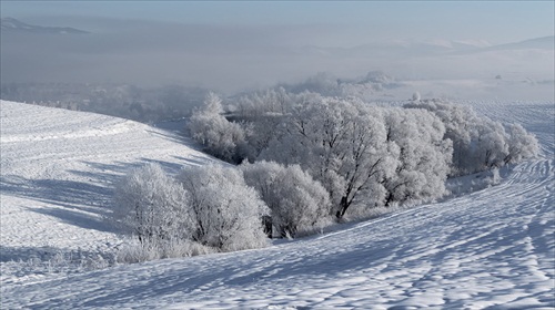 Zamrznutá krajina