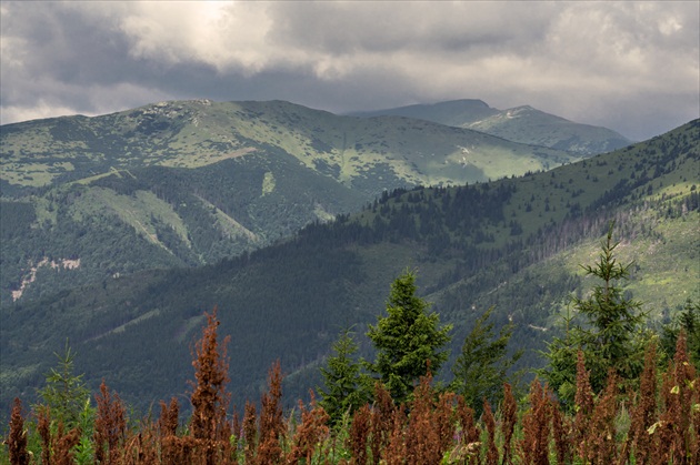 Nízke Tatry