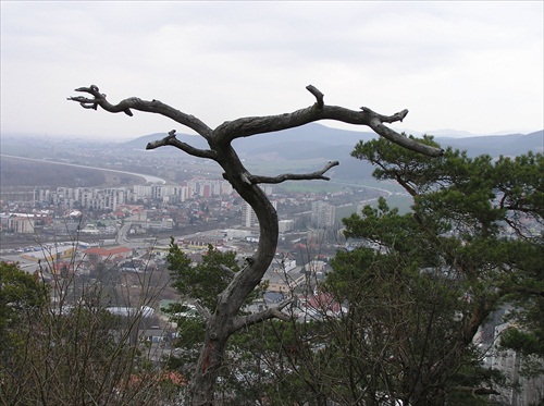 Pohľad na Trenčín