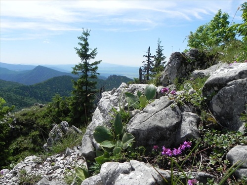 Veľká Fatra