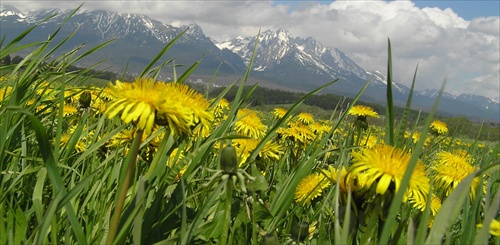 tatry