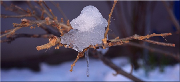 Winter Jewellery